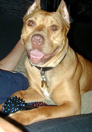 maia10785.jpg